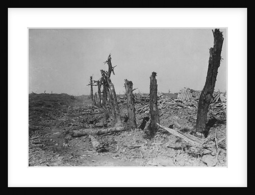 Devastated Battlefield of The Somme, 1916 by Anonymous