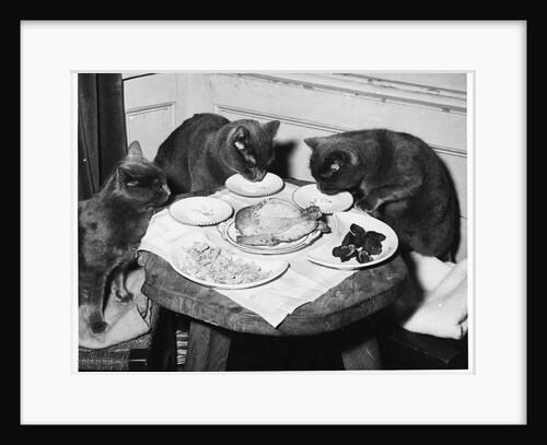 Cats' Celebratory Feast by Anonymous