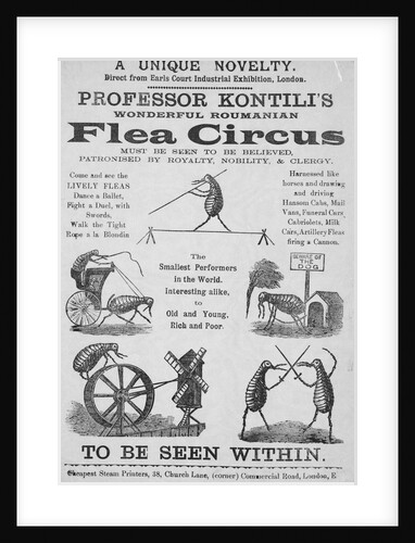 Advertisement For Flea Circus by Anonymous