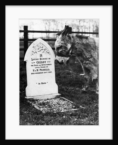 A Pet Cemetery by Anonymous
