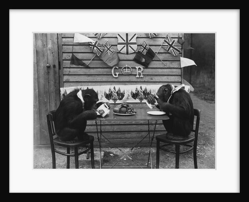 Chimps' Tea Party by Anonymous