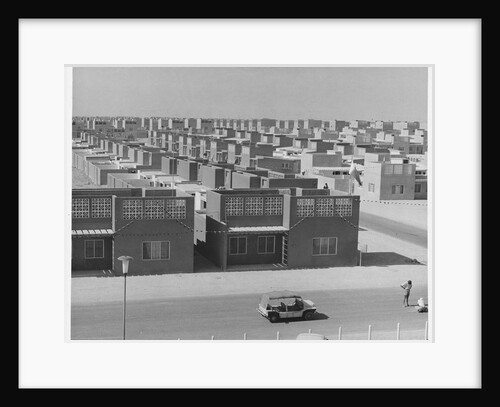 Rows of Houses by Anonymous