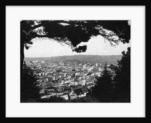 View from Buenva Vista Park by Anonymous