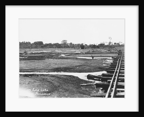 Pitch Lake, Trinidad. by Anonymous