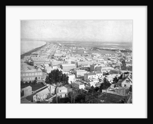 Pre-Earthquake View of Napier by Anonymous
