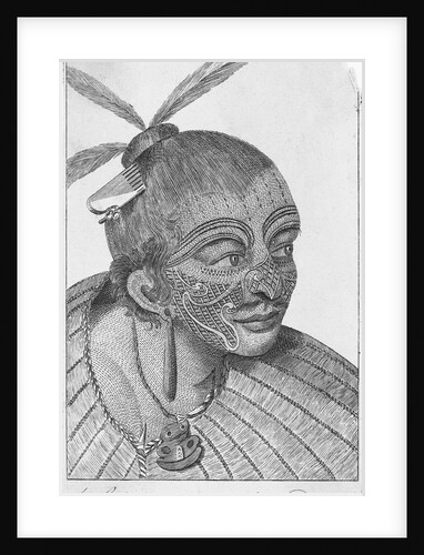 Engraving of a Maori Chieftain by Anonymous
