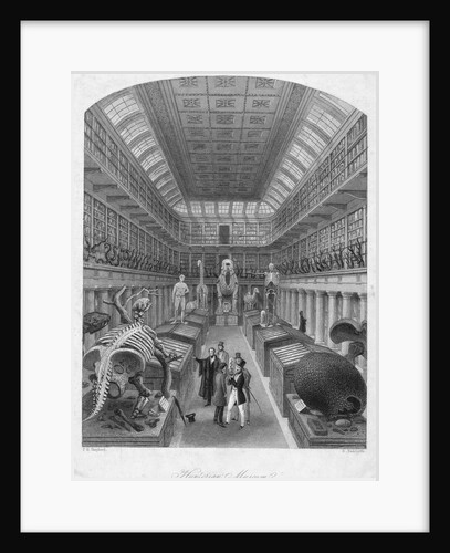 Hunterian Museum, Royal College Of Surgeons. by Anonymous