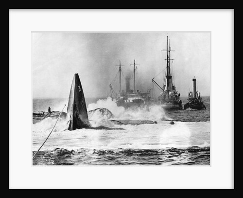 As Raised Squalus Plunged Back To Depths by Anonymous