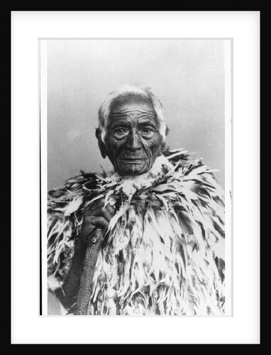 Maori Chief by Anonymous