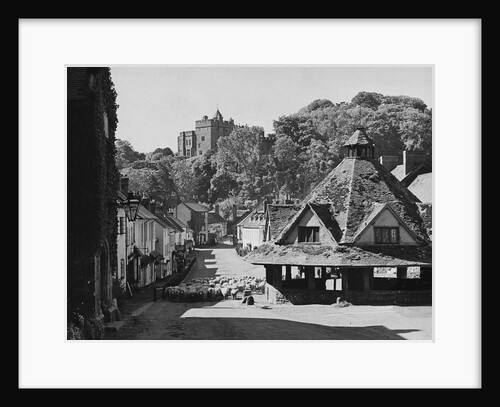 Sheep in Street, Dunster by Anonymous