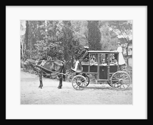 Horse Drawn Carriage by Anonymous