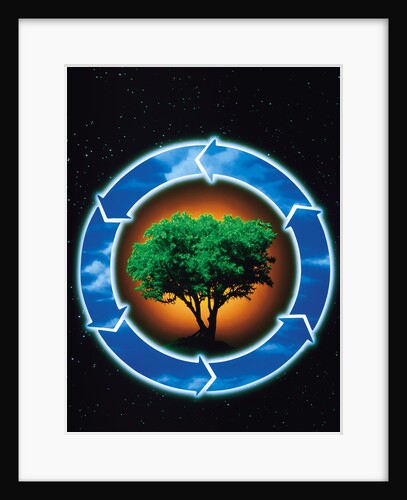 Recycle for a greener environment by Anonymous