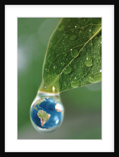 World in a Dewdrop by Anonymous