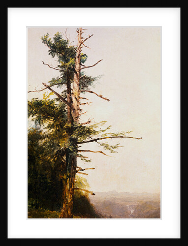 Dying Tree on Mountaintop by John Frederick Kensett