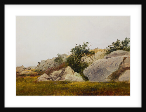 Rocky Landscape by John Frederick Kensett