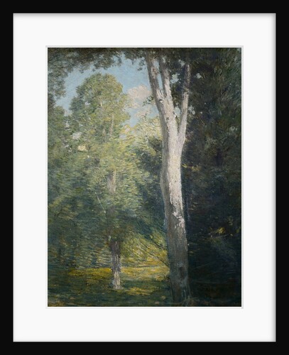 Painting of Birch Trees in Forest by Julian Alden Weir