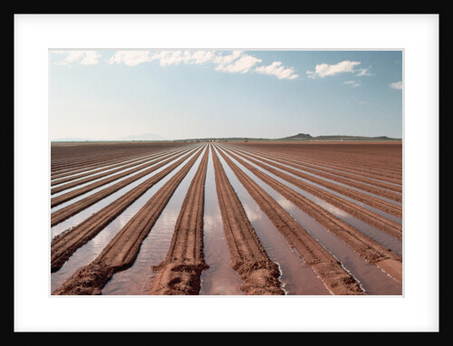 Irrigation by Anonymous