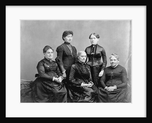 Members of the International Council of Women by Anonymous
