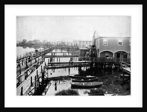 Stilted House Development, New York by Anonymous