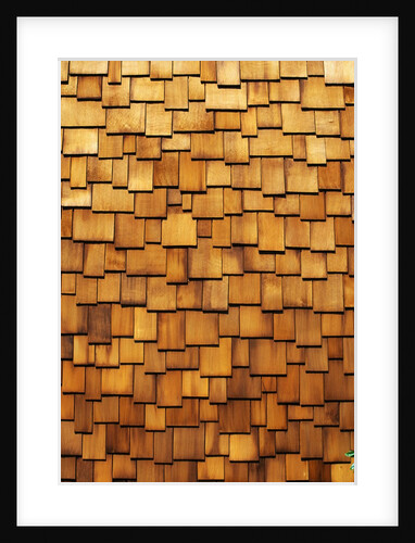 Wood Shingle Siding by Anonymous