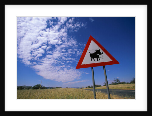 Warthog Crossing Sign by Anonymous