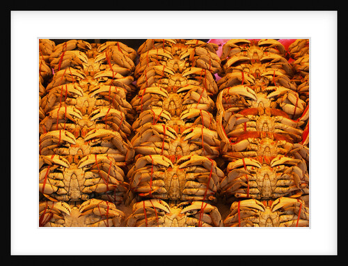 Fresh Crab at Pike Place Market by Anonymous