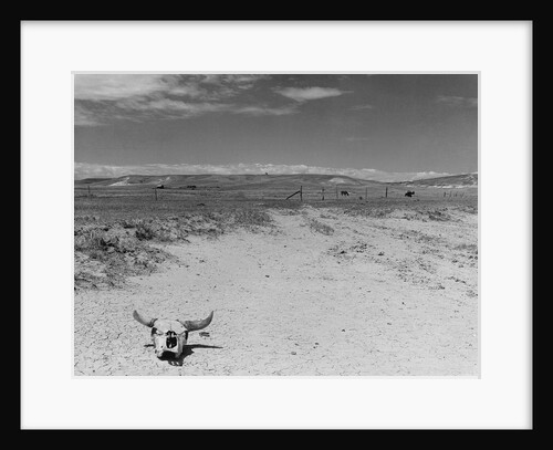 Over Grazed Land by Anonymous