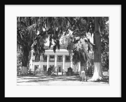 Jackson Plantation Home by Anonymous