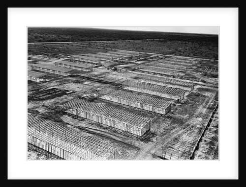 New Labor Camp by Anonymous