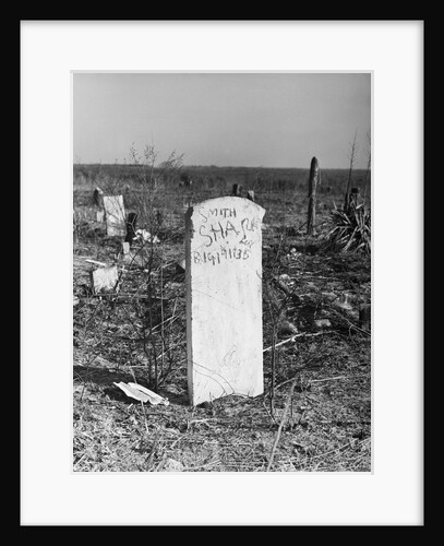 Abandoned Cemetery by Anonymous