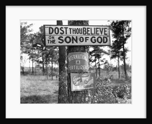 Signs along Highway by Anonymous