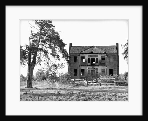 Abandoned Plantation Home by Anonymous