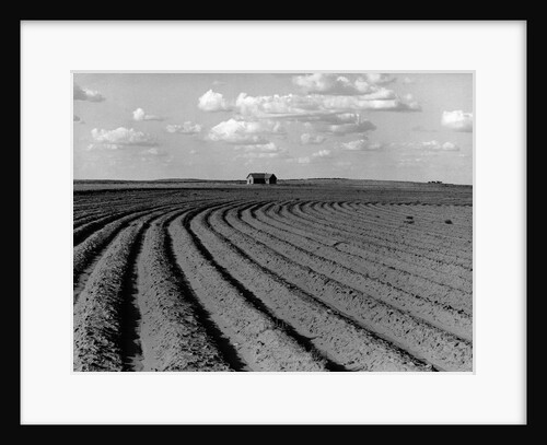 Plowed Fields on a Mechanized Cotton Farm by Anonymous