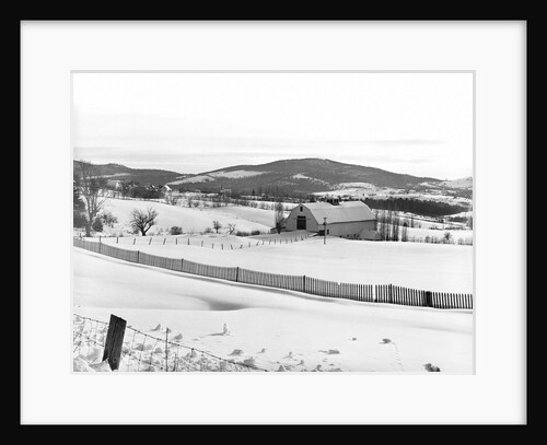 Drift Fence on Farmland by Anonymous