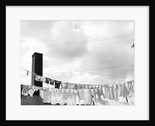 Laundry Drying on Clotheslines by Anonymous