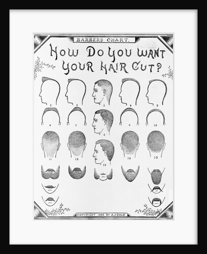 How Do You Want Your Hair Cut? by A. J. Cole