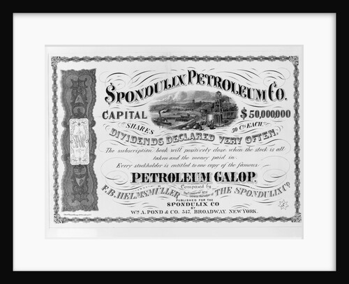 One Share of Stock in the Spondulix Petroleum Co by Anonymous