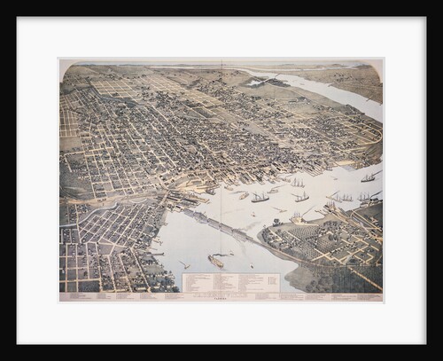 Bird's Eye View of Jacksonville by Anonymous