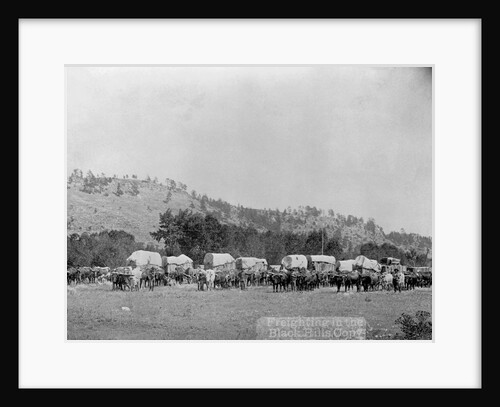 Wagon Train in the Black Hills by Anonymous