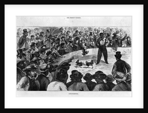 Cockfighting in New Orleans by Anonymous
