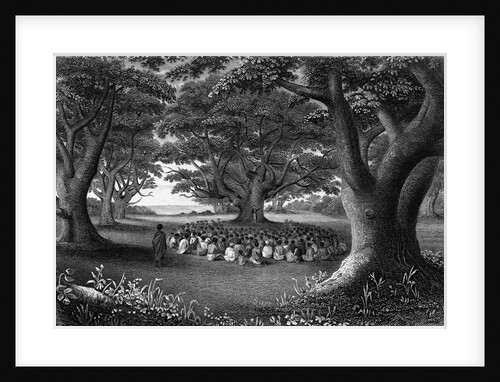 Missionary Beneath Trees by Anonymous