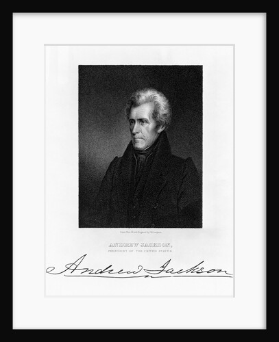 Portrait of Andrew Jackson by Anonymous