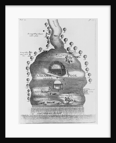 Engraving of Beaver Pond by Anonymous