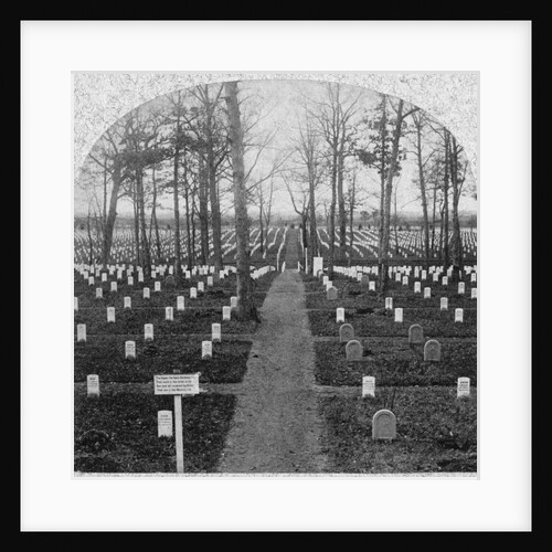 National Cemetery by Anonymous