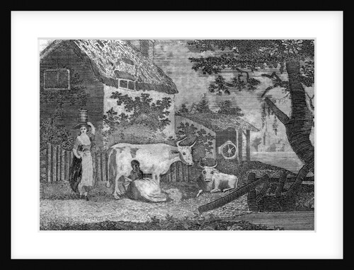 Cattle on a Massachusetts Farm by Anonymous