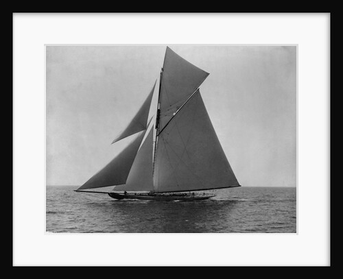 Racing Sloop in Full Sail by Anonymous