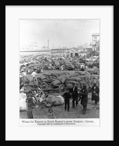 Exporting Wheat in Odessa by Anonymous