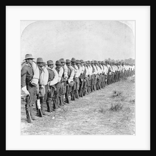Troop D of the "Rough Riders" as they went into Cuba (lines up, at attention in field) by Anonymous
