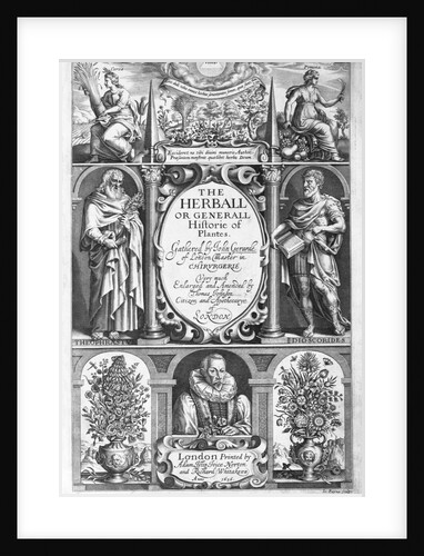 Illus. title page of The Herball or Generall Historie of Plantes by Anonymous