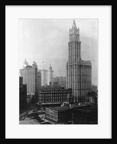 Woolworth Building, New York by Anonymous
